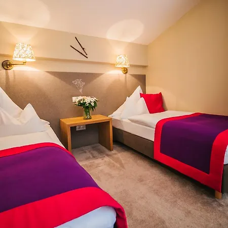 Otel Dr Otto Murr 4*