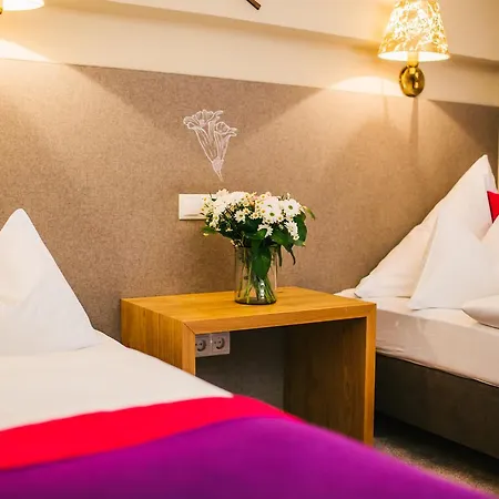 Otel Dr Otto Murr 4*